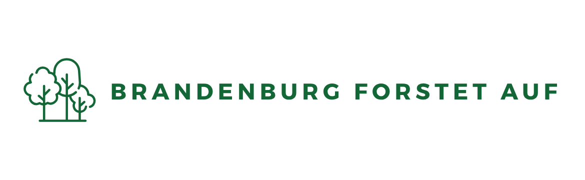 Brandenburg forstet auf